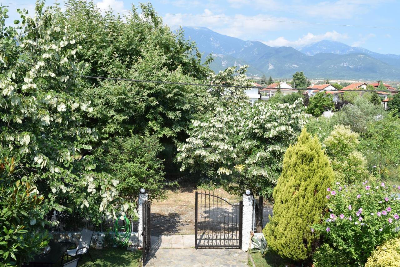 Garden'S Villa Leptokarya  Exterior photo